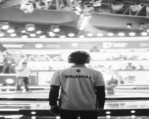 Esports audience